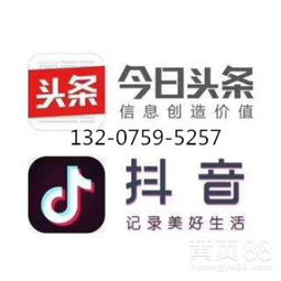 天津地區(qū)頭條與抖音廣告服務(wù)對接指南 高效觸達與專業(yè)開發(fā)支持
